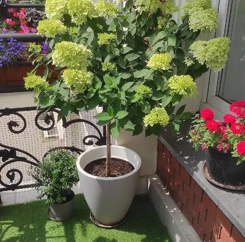 Appartement Przy Galerii Forum Witkiewicza