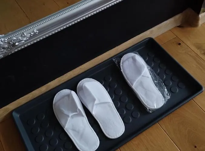 Przy Galerii Forum Witkiewicza Gliwice