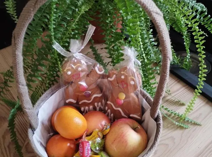 Przy Galerii Forum Witkiewicza Appartement