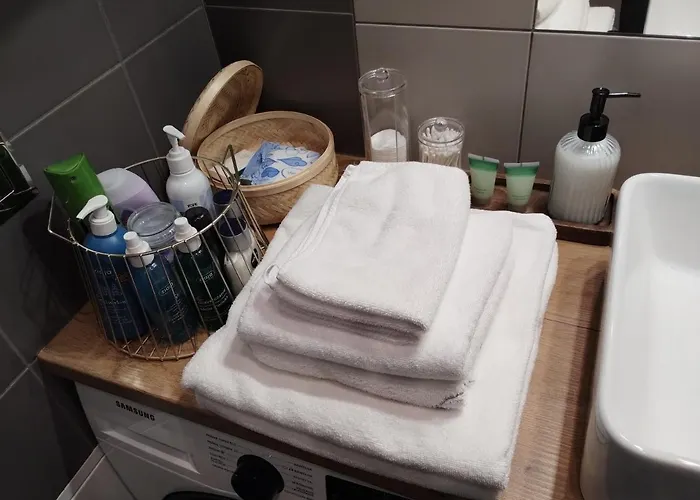 Przy Galerii Forum Witkiewicza Appartement Gliwice